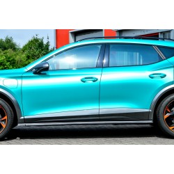 Πλαϊνά μαρσπιέ της IN Tuning για Cupra Formentor